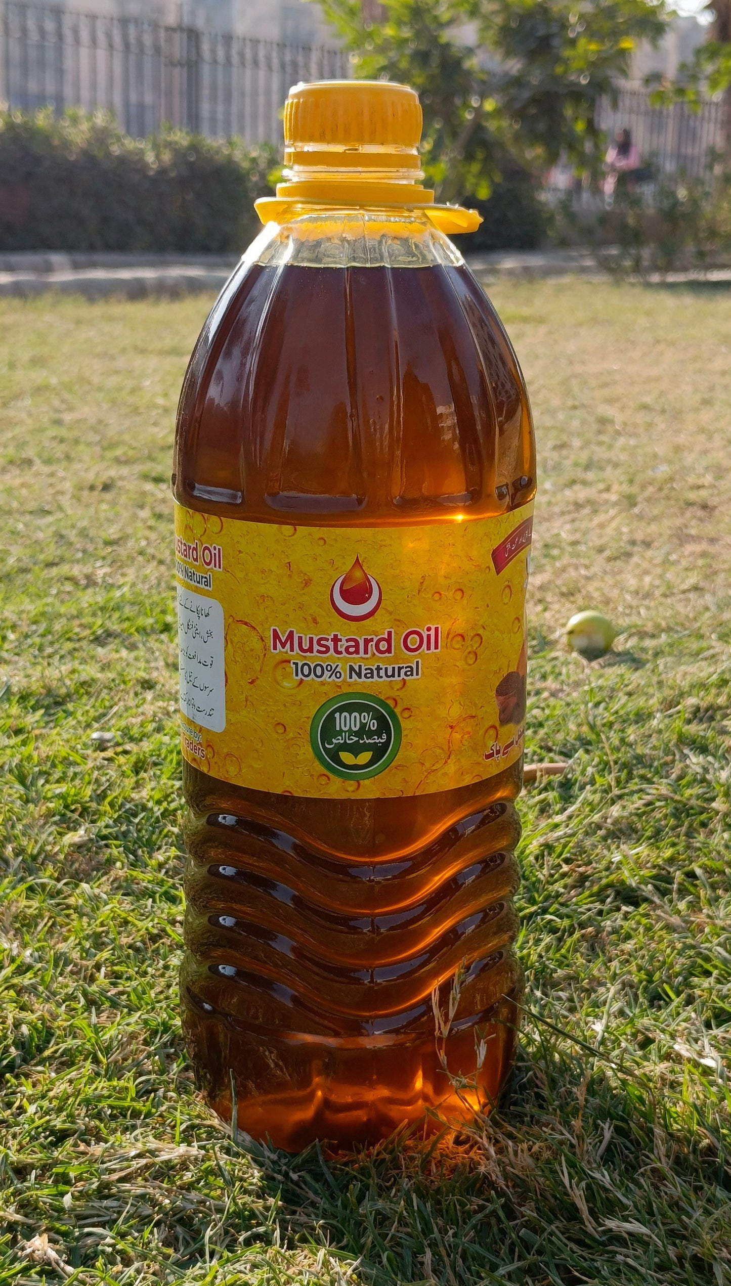 100% Natural Mustard Oil – Single Bottle | Pure & Cold-Pressed